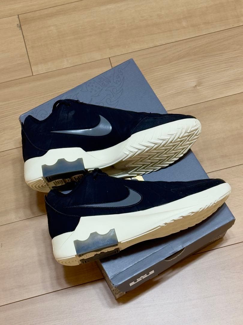 極美品28.5cm NIKE LeBron witness 9