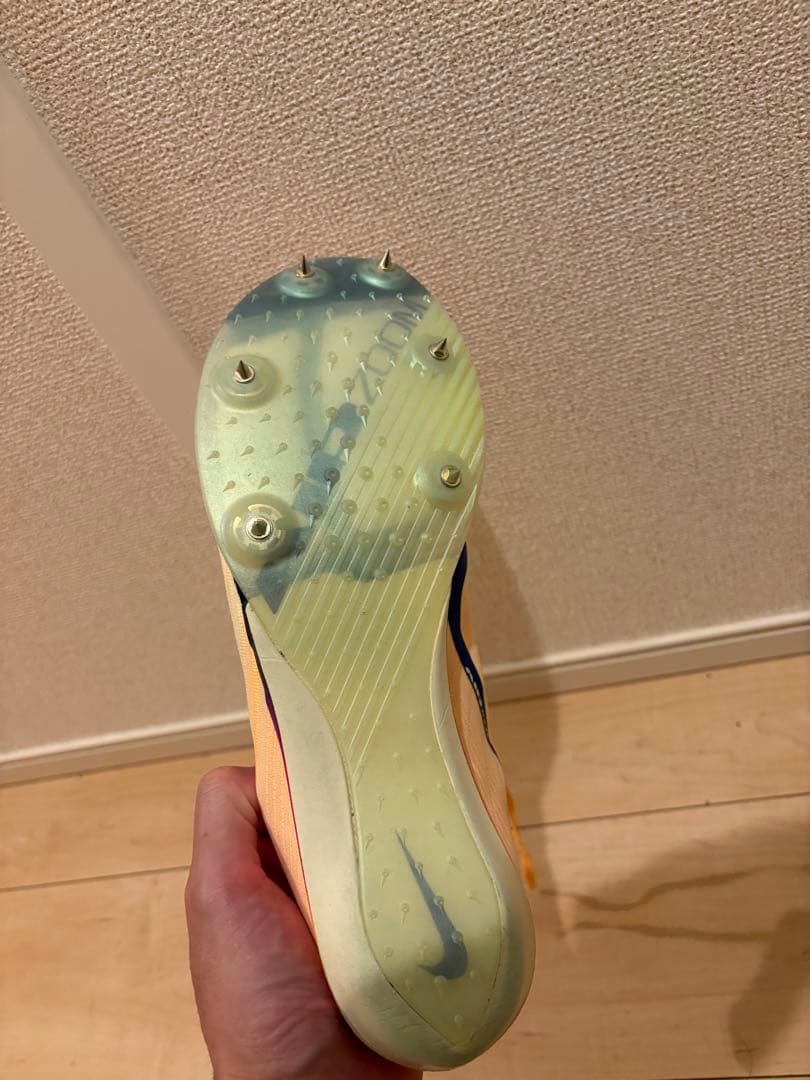Nike マックスフライ２　28.0cm 美品