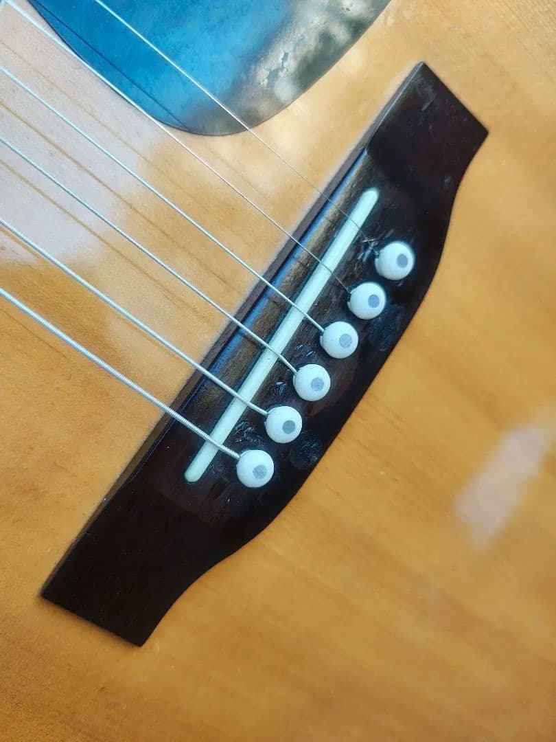 美品 Takamine 200シリーズ(？)NA 型番不明 PU付き エレアコ