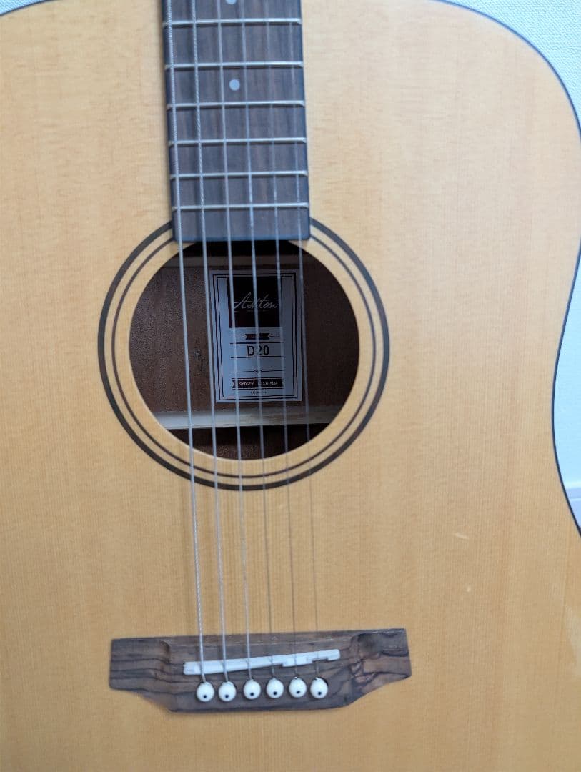 Ashton D20 アコースティックギター