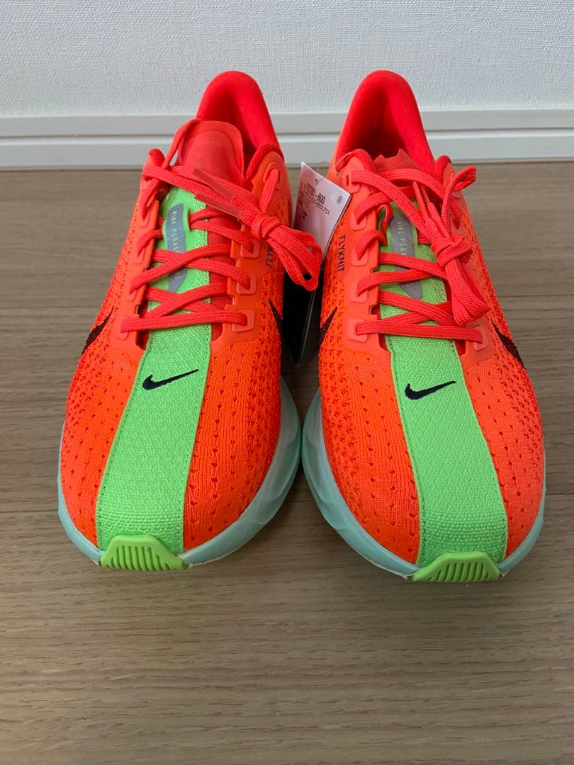 NIKE Pegasus plus ナイキ ペガサスプラス 25㎝