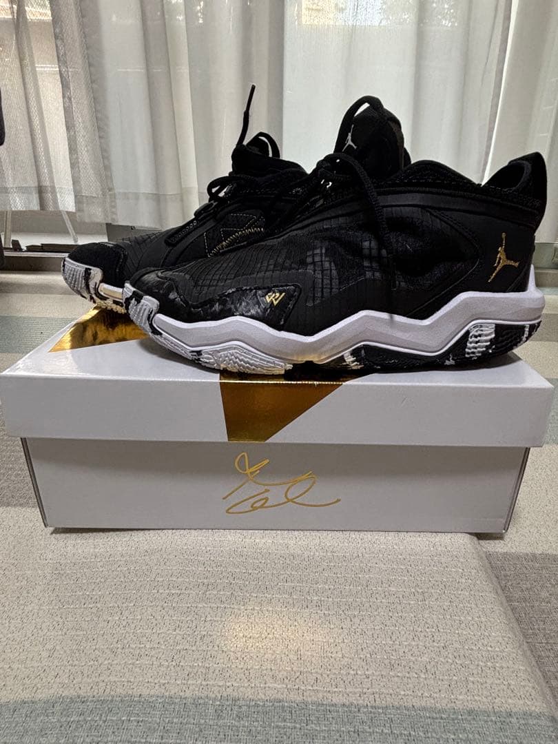 [美品]NIKE Jordan WHY NOT . PF26cm