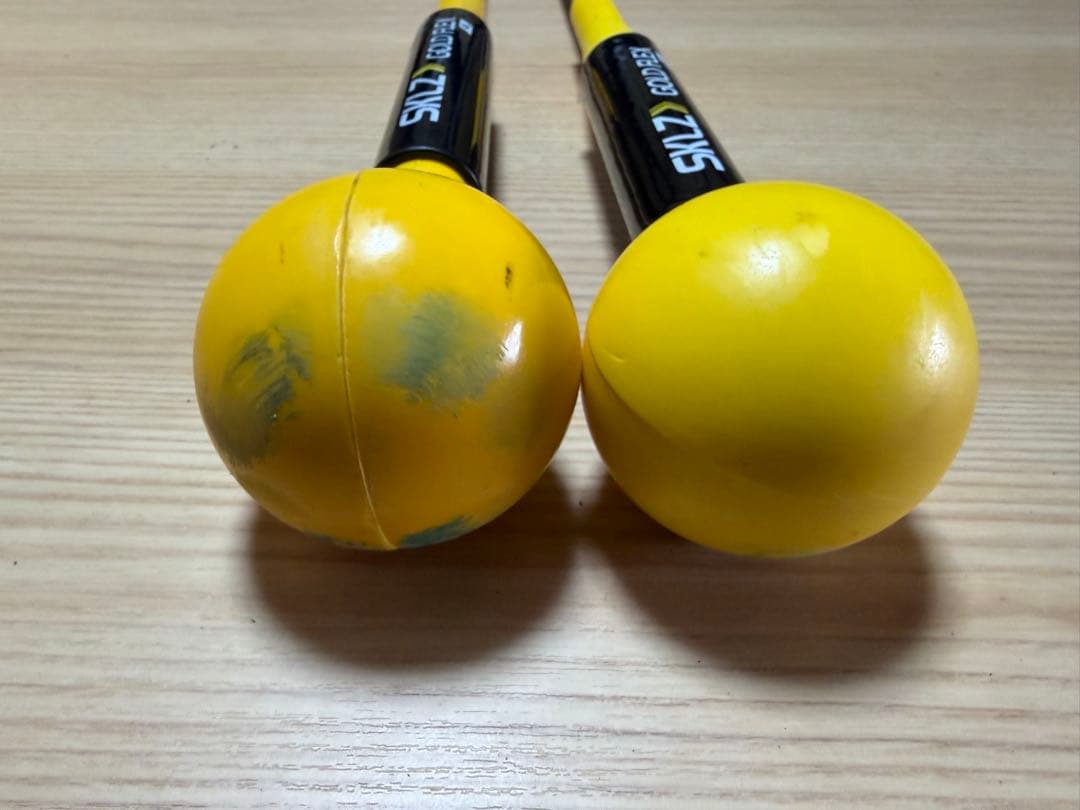 SKLZ GOLD FLEX 40 48インチ スイング練習器具 2本セット