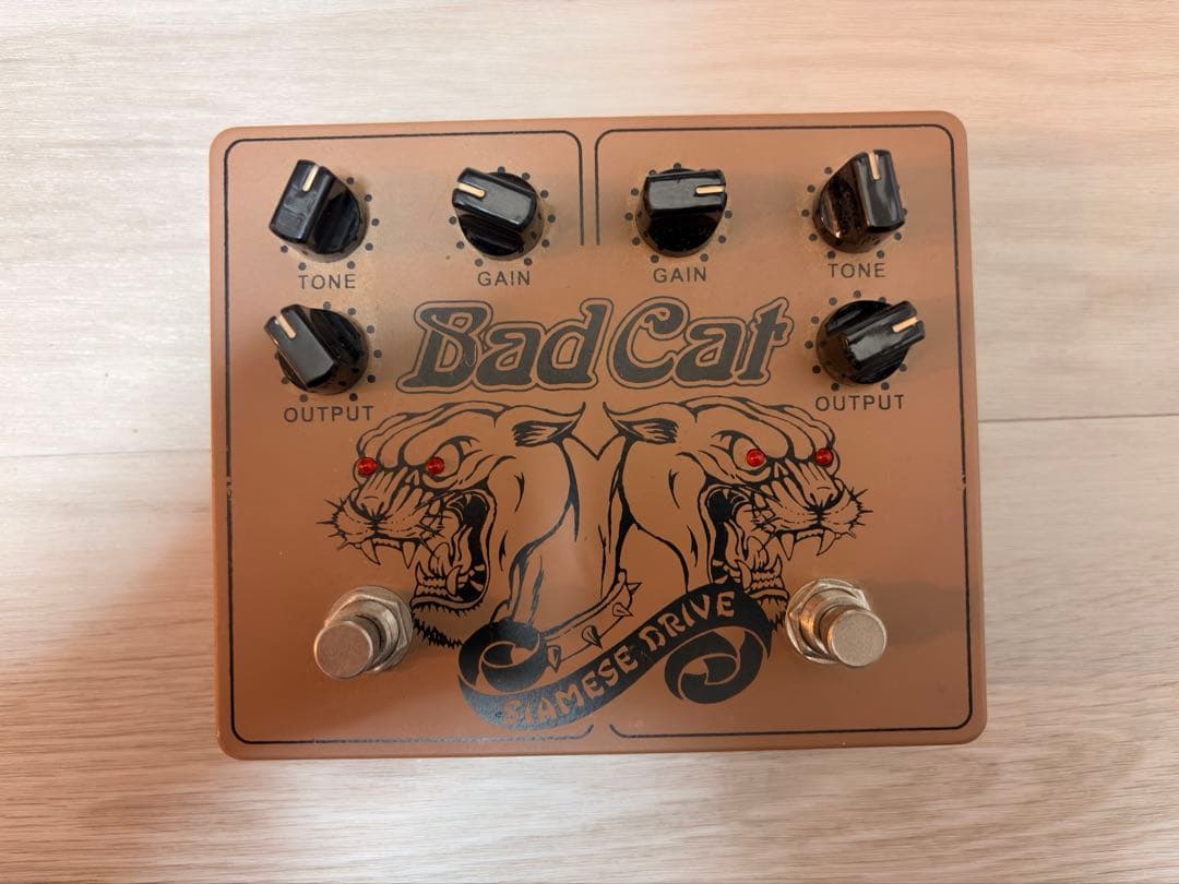 Bad Cat Siamese Drive デュアルオーバードライブ　最終日