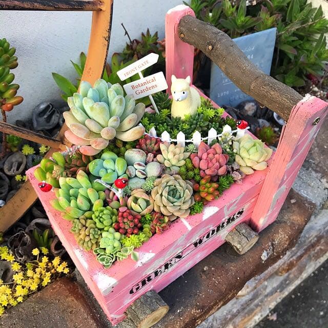 ★多肉植物　寄せ植え〜手作り　木製手押しカート　中　ピンク〜★