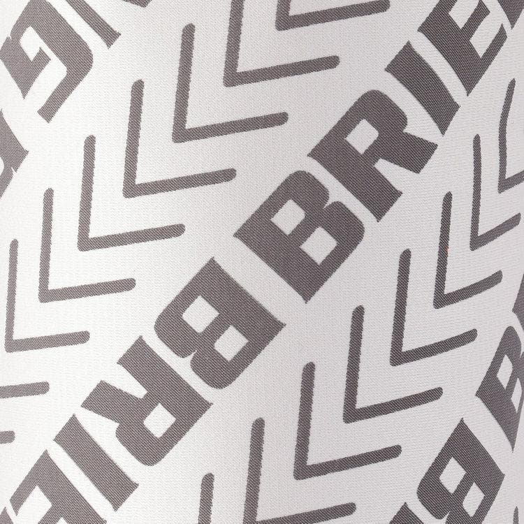 【新品】BRIEFING 氷嚢 アイスバッグ BRG251F04