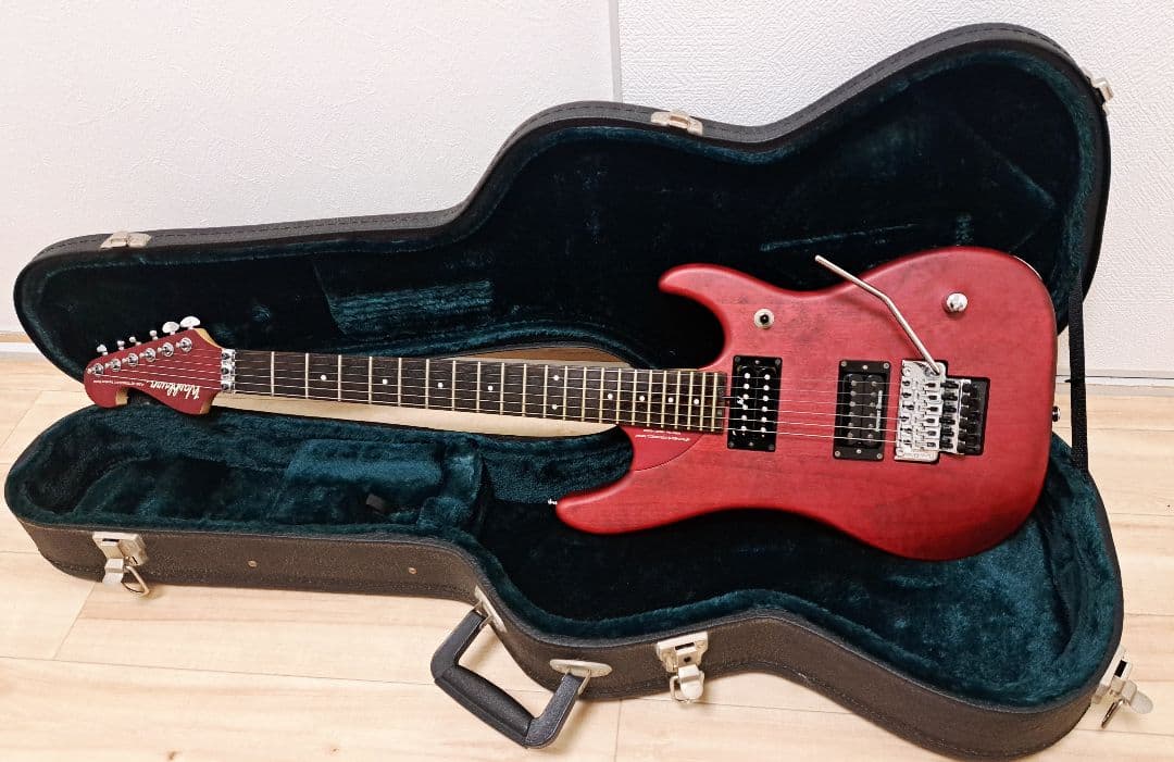 Washburn N24 ALDER / PADAUK 【状態良し】