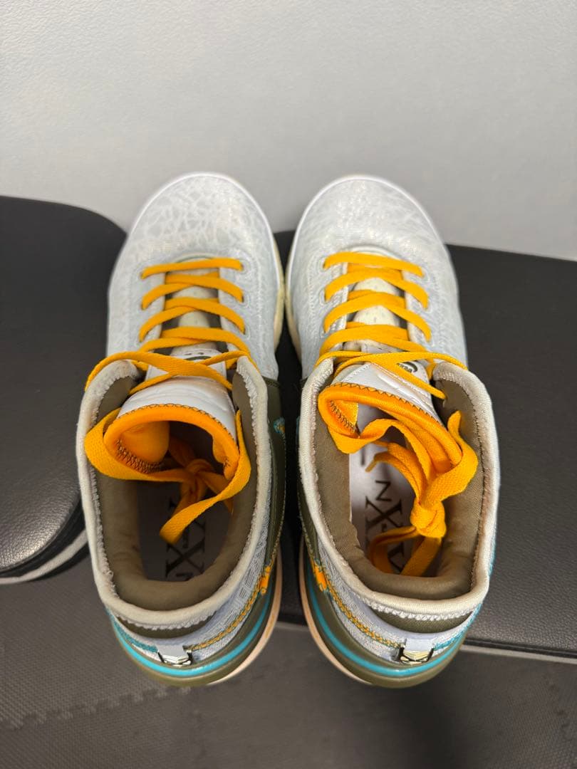 シューズ(男性用) NIKE LEBRON NXXT GEN EP