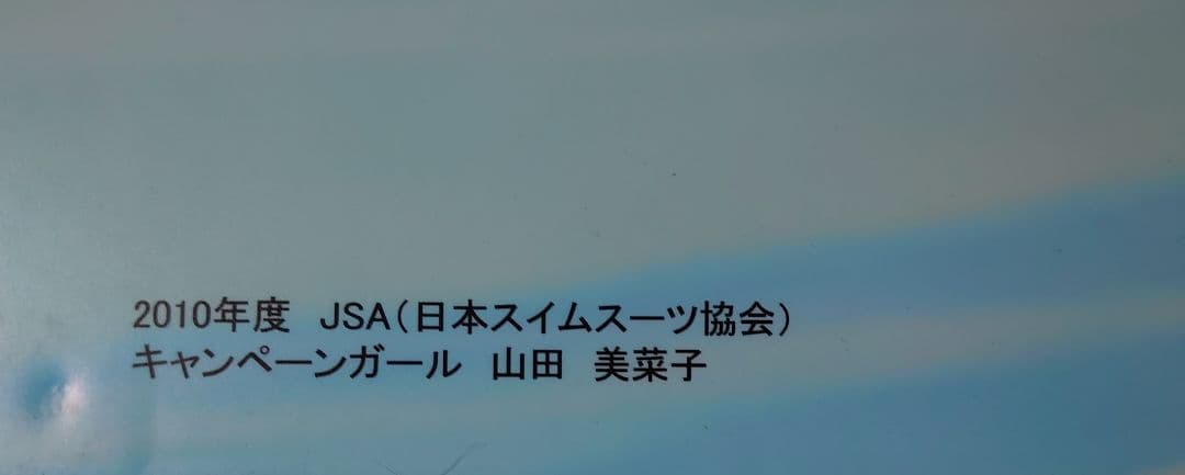 山田美菜子 特大水着パネル