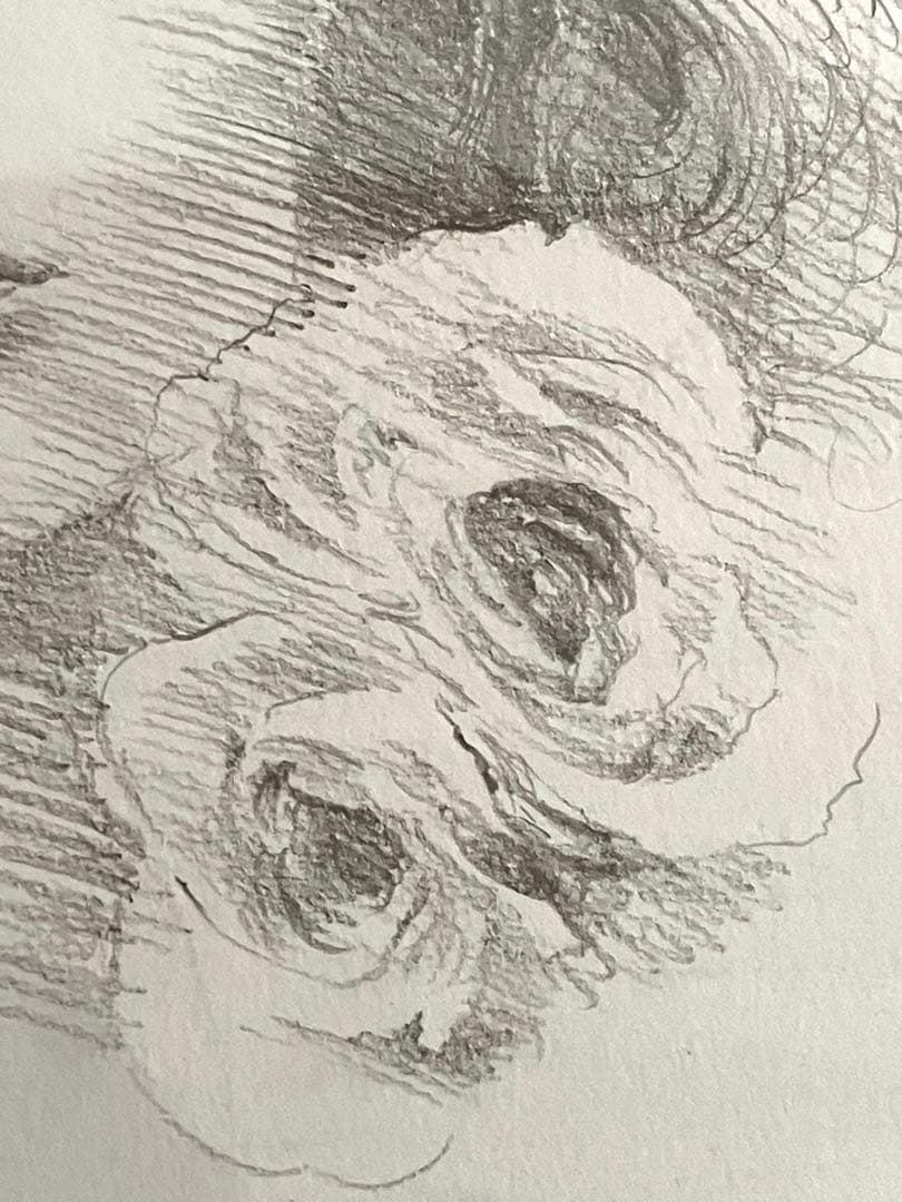 宇野亜喜良　原画　えんぴつ画　少女