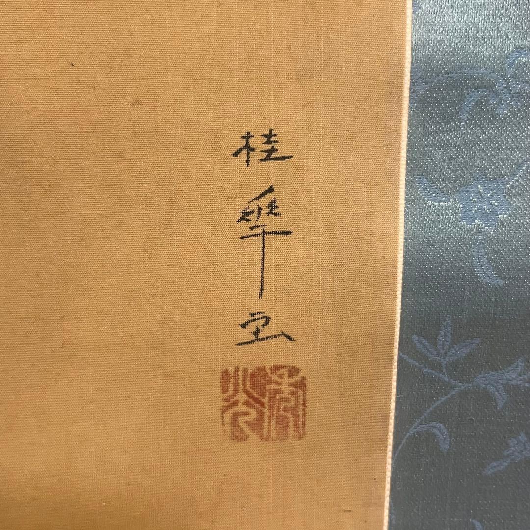 金島桂華 鯉図 掛軸 日本画 共箱