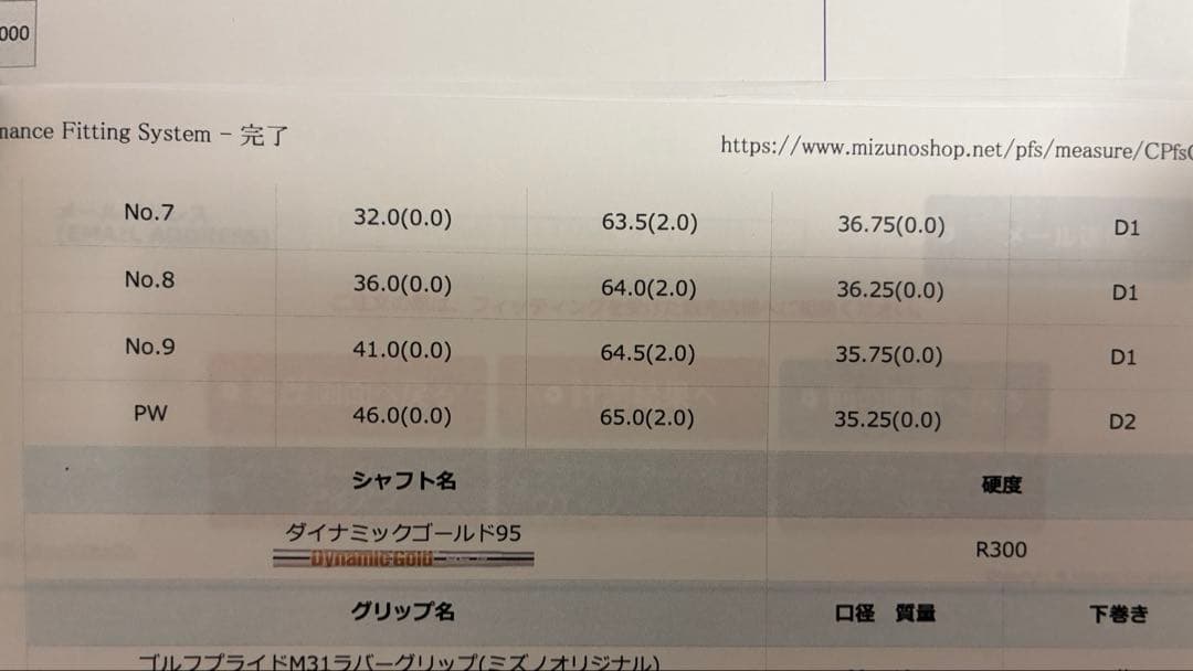 ミズノプロ223 6-P 5本 DG95 R300 メーカーカスタム
