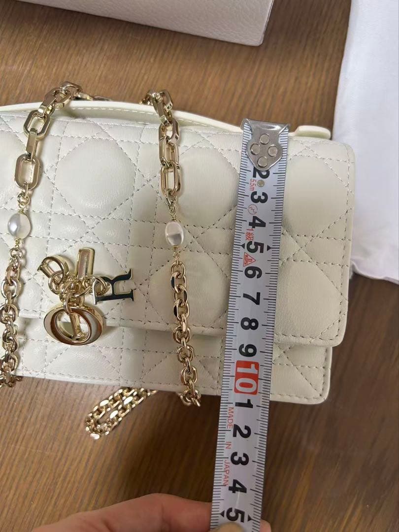 Christian Dior Talk フォンバッグ