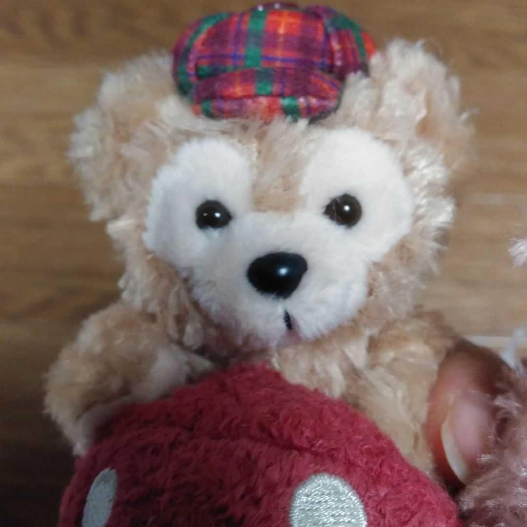 ダッフィー シェリーメイ ぬいぐるみストラップ