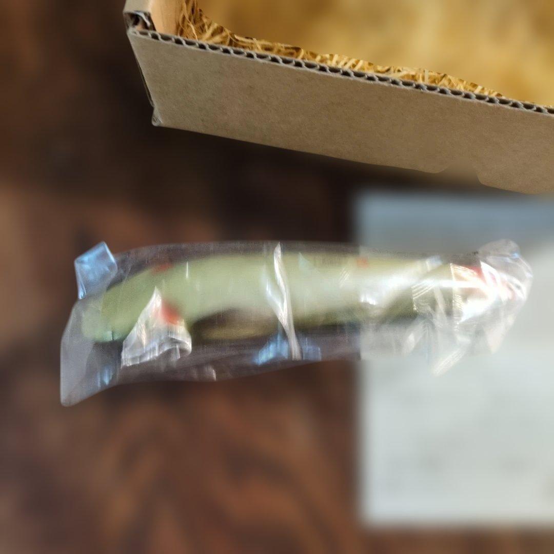 1998年　ペネックス　ランカーズクラブ　鯰　大サイズ　未使用