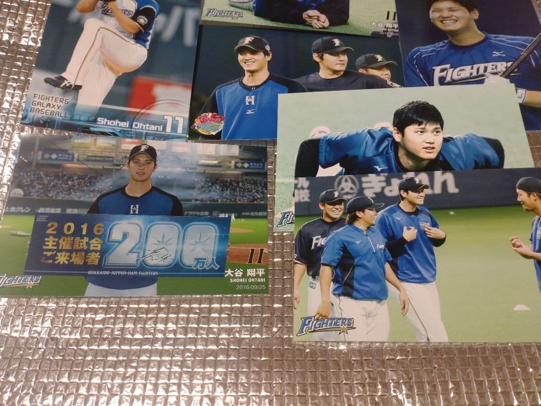 大谷翔平 ハイライトフォト 球団公式写真 ⑦ 10枚セット 日本ハム