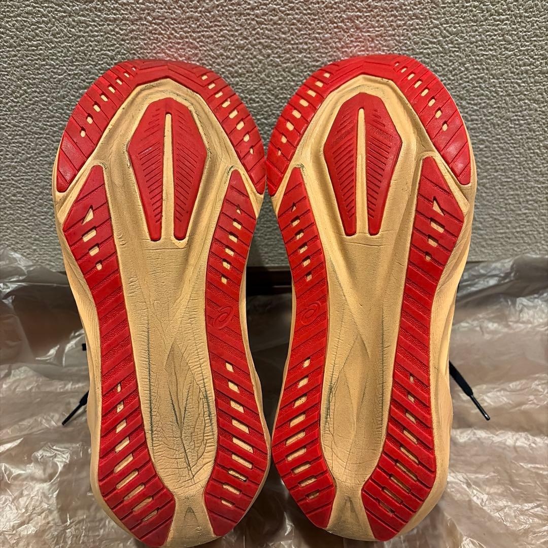 【24時間以内発送】ASICS NOVABLAST 5 wide 27.5cm