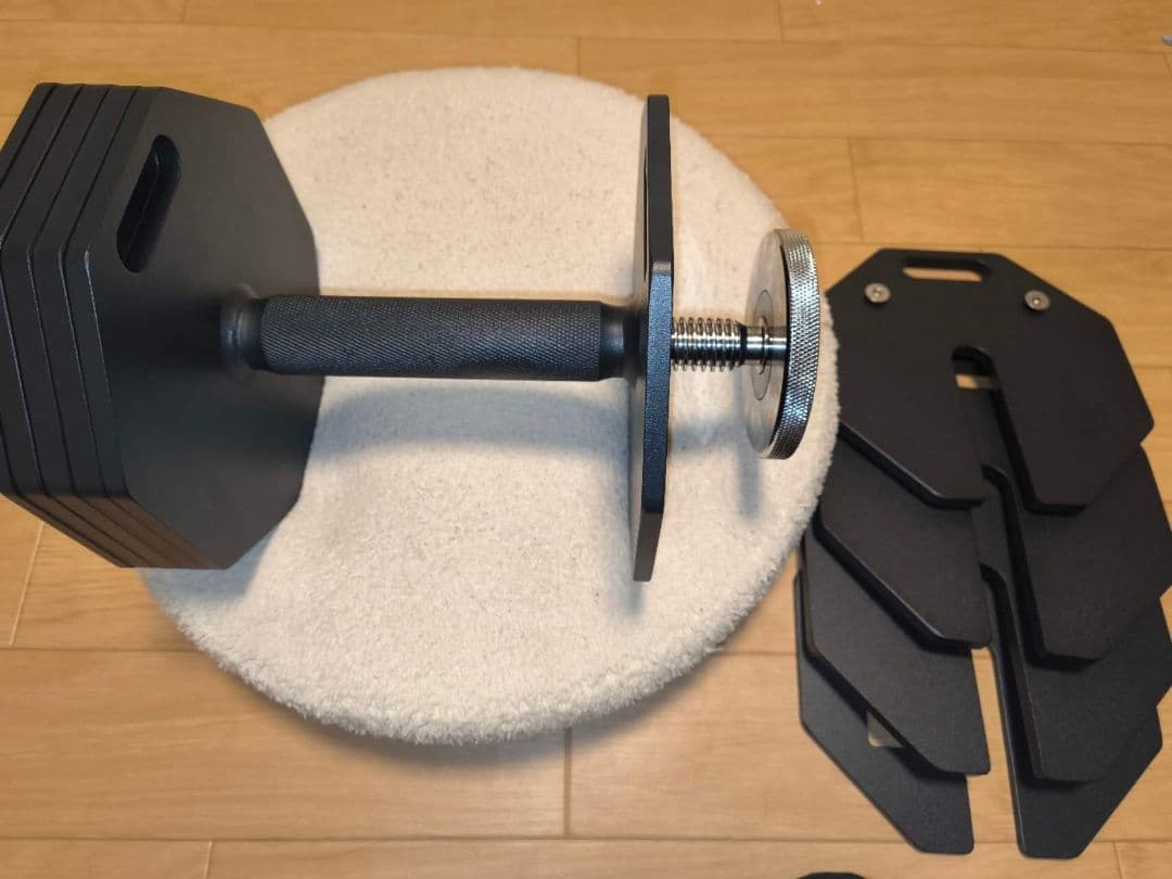 ブランドEisenlink 色20kg×1(八角形ブラック)