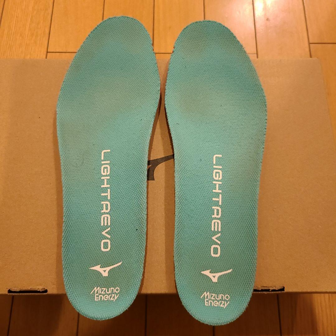 ミズノプロ トレーニングシューズ 27.0㎝