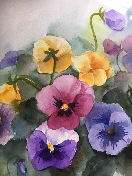 水彩画原画パンジー花の絵