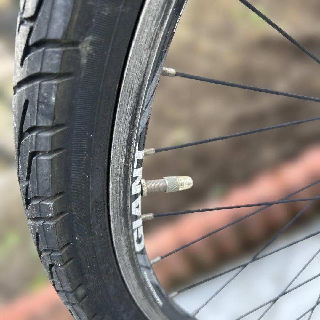 GIANT SNAP自転車
