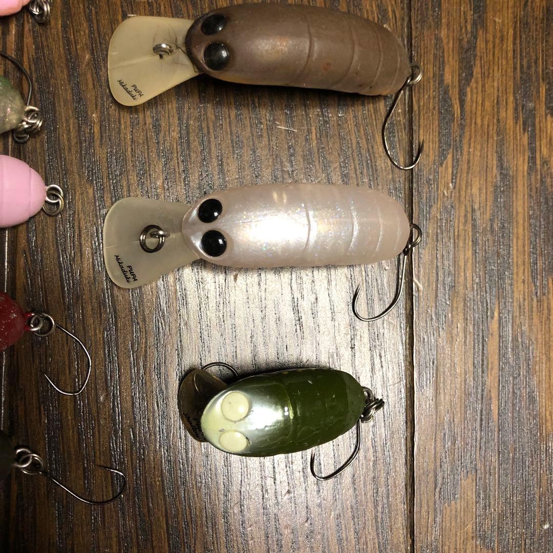 ノリーズ　ピューパ
