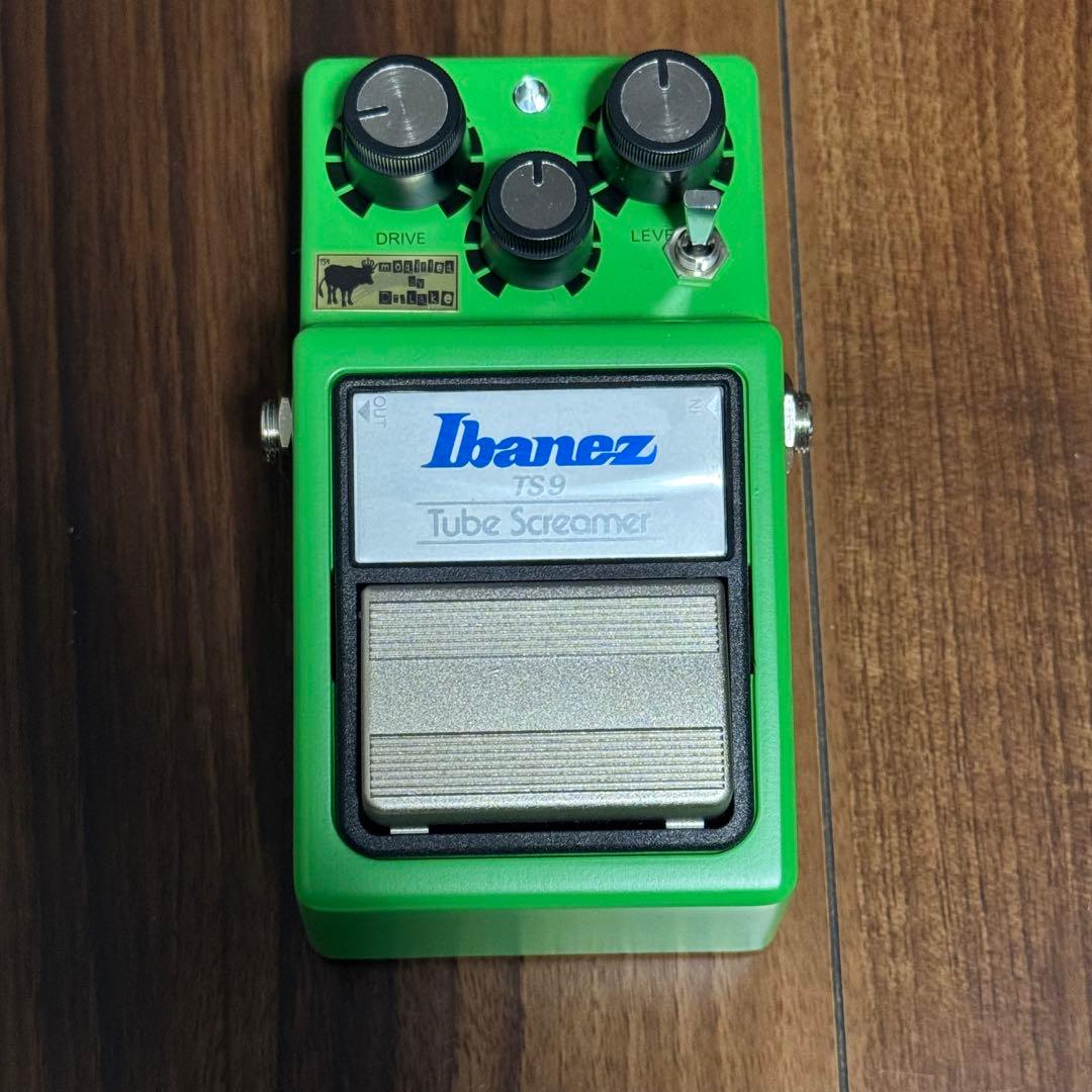ギター Dr.lake ts9 mod