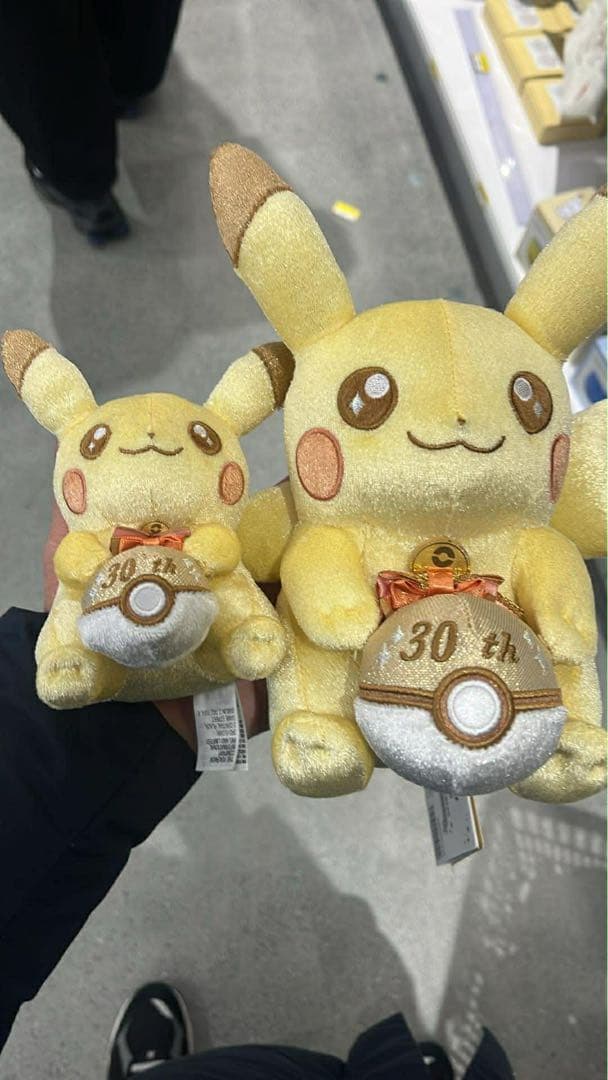 ピカチュウ 30周年記念ぬいぐるみ2体セット