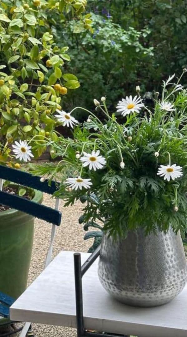 エンボス加工シルバー花瓶 ヌキテパ