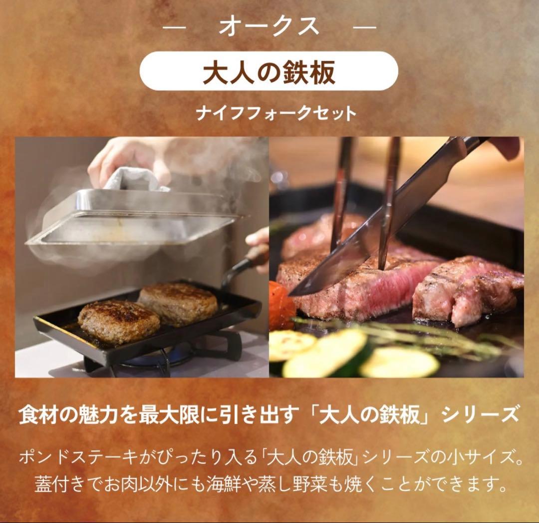 【新品、未使用、未開封品】オークスの大人の鉄板