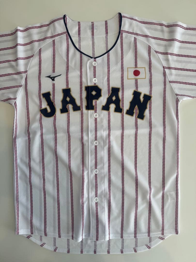 Mizuno 日本代表 ユニフォーム ストライプ　２枚セット