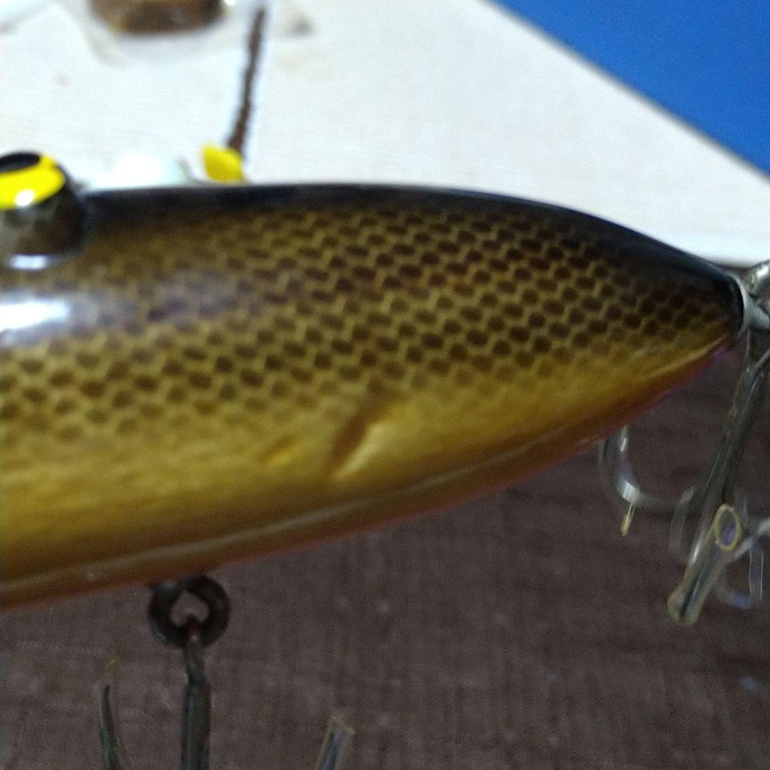 ザウルス　バルサ50