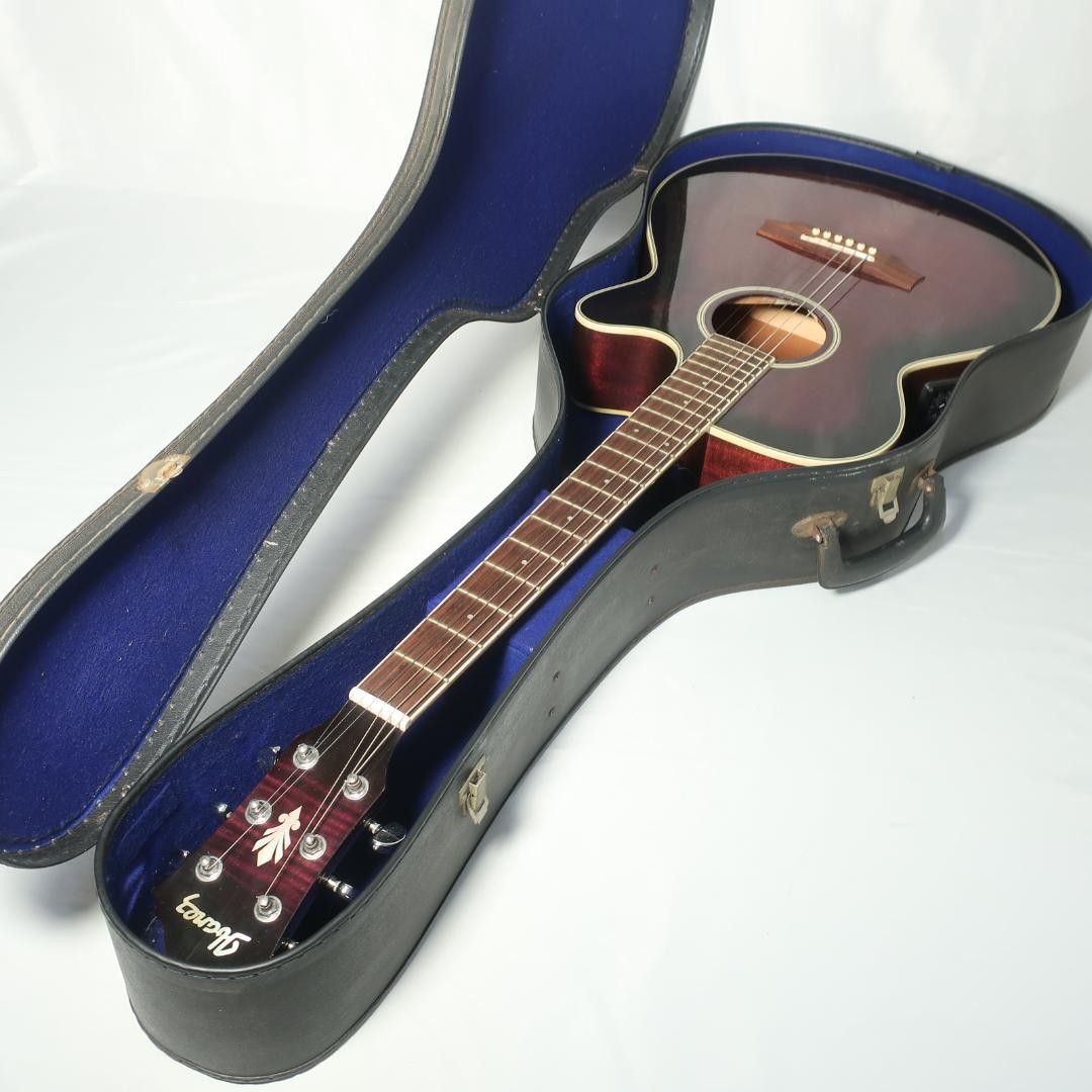 Ibanez AEG450 TP エレアコ ギター ハードケース付 虎杢パープル