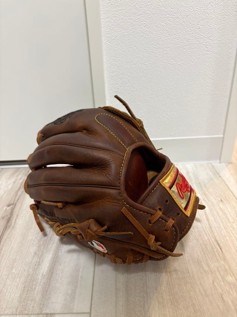 Rawlings 硬式グローブ アレナドモデル