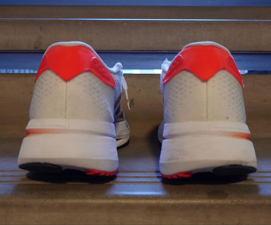 adidas ADIZERO SL2【26.0cm】