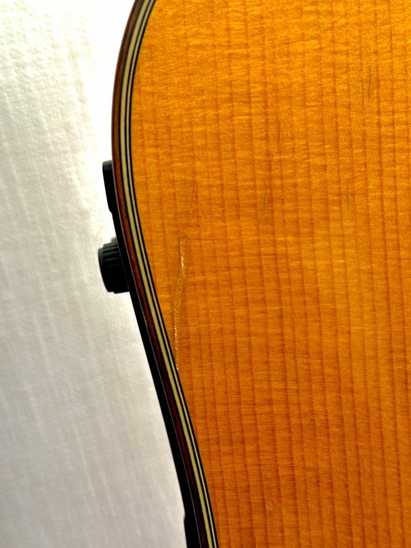 Taylor 710ce アコースティックギター