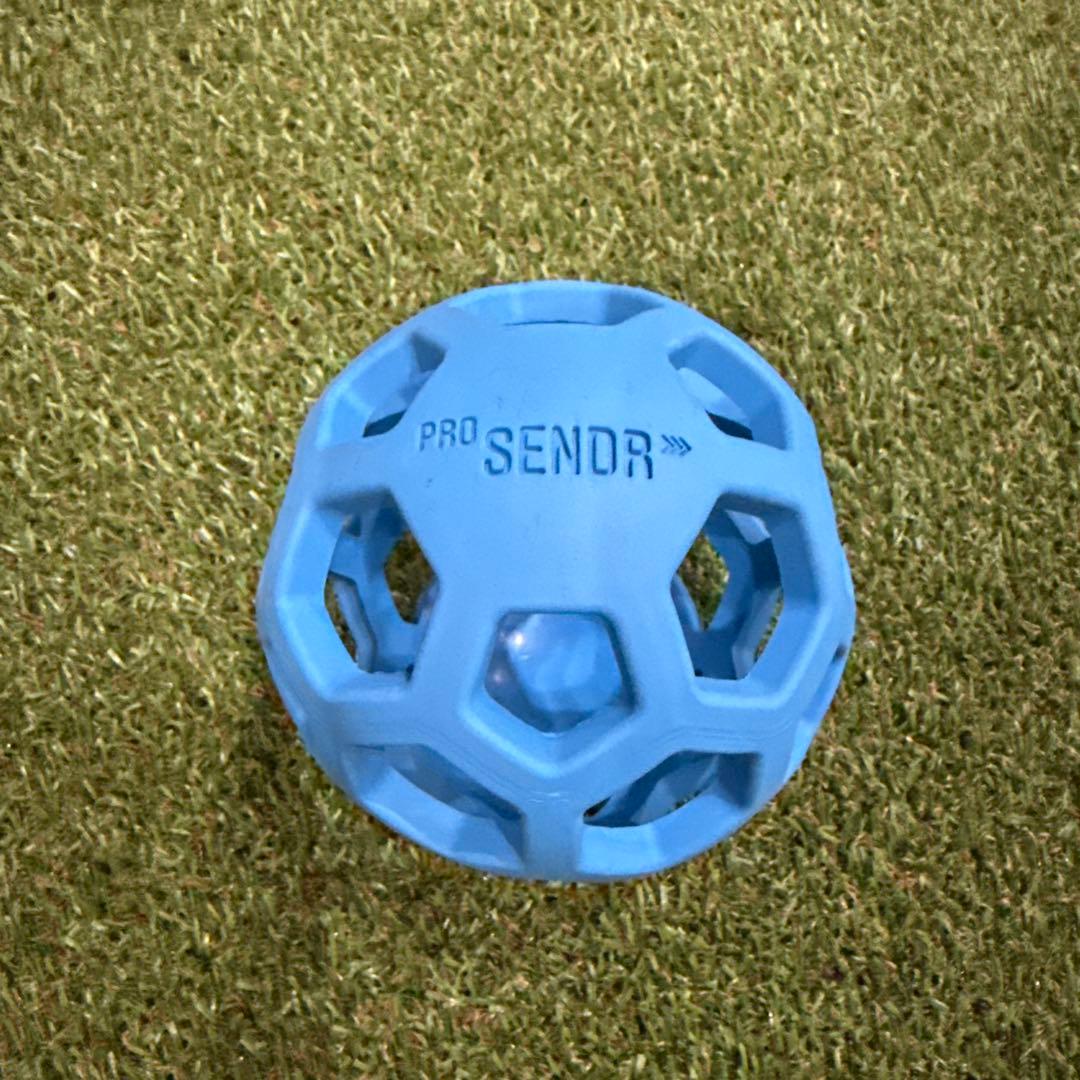 PRO SENDR ゴルフ練習セット