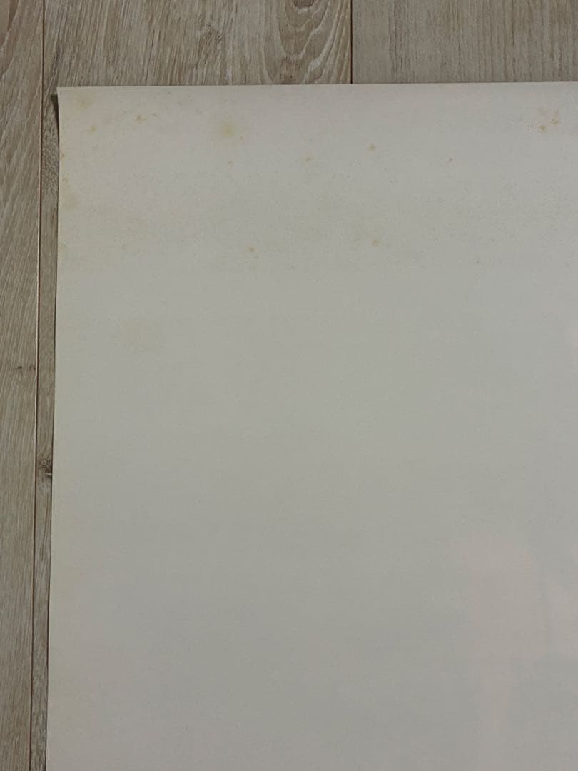 【非売品】中森明菜　アルバムポシビリティー特典ポスター　（A）