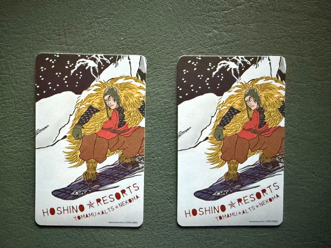 Hoshino Resorts ネコママウンテン　リフト券×2 大人用