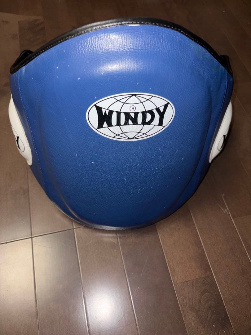 WINDY キックミット 青 ボディープロテクター