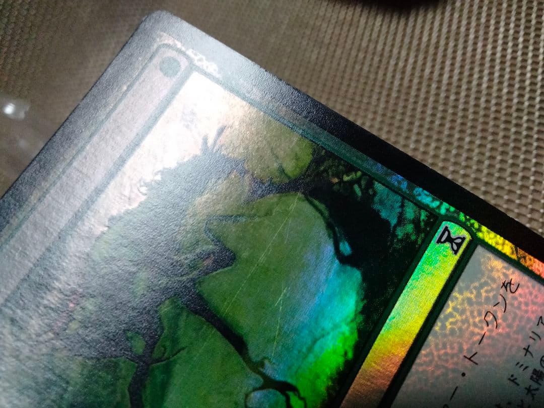 【ご確認用】時のらせん foil 芽吹きb 日本語 1枚　MTG