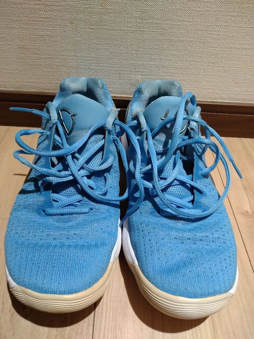 NIKE ナイキ ハイパーダンク2017 low 25cm