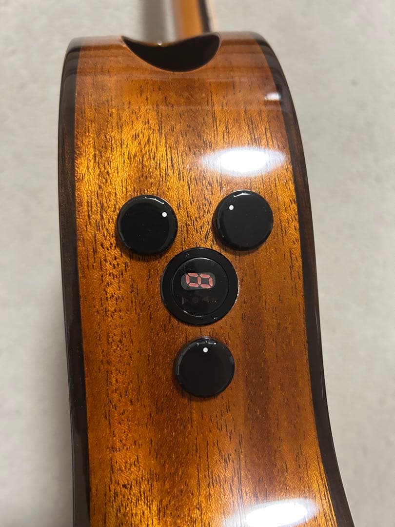 ギター Mayson PS-300
