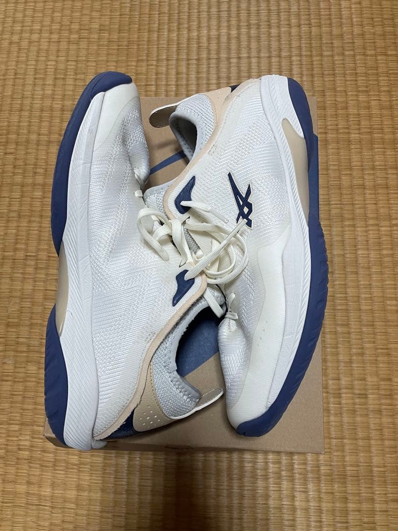 シューズ(男性用) ASICS GLIDE NOVA FF3
