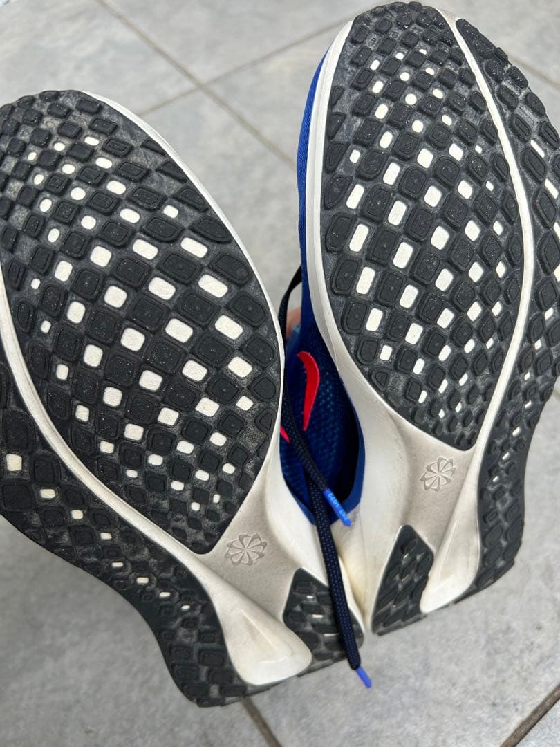 NIKE ペガサス41 25cm