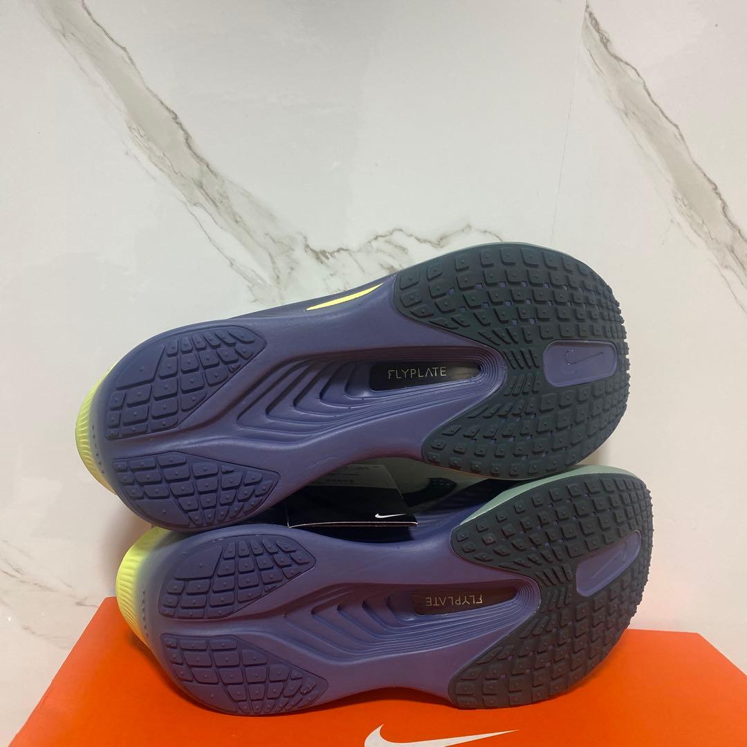 新品　未使用　タグ付　NIKE ZOOM FLY6　25cm