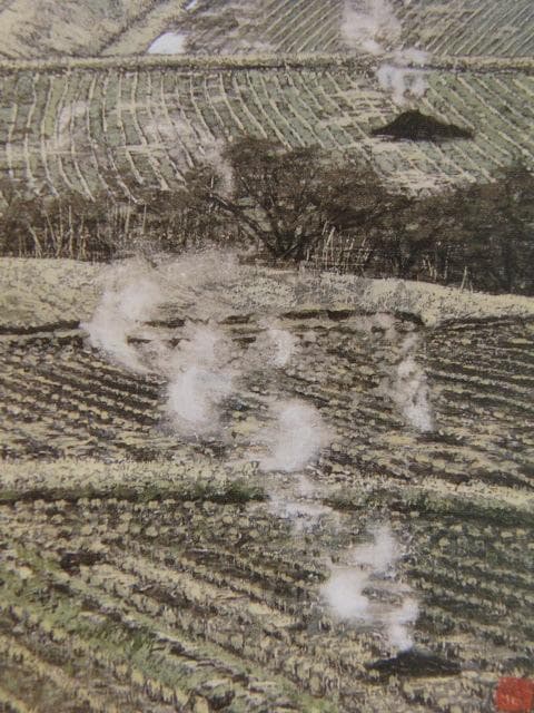 澁澤卿、【風煙寒色】、希少な額装用画集より、新品額装付、状態良好