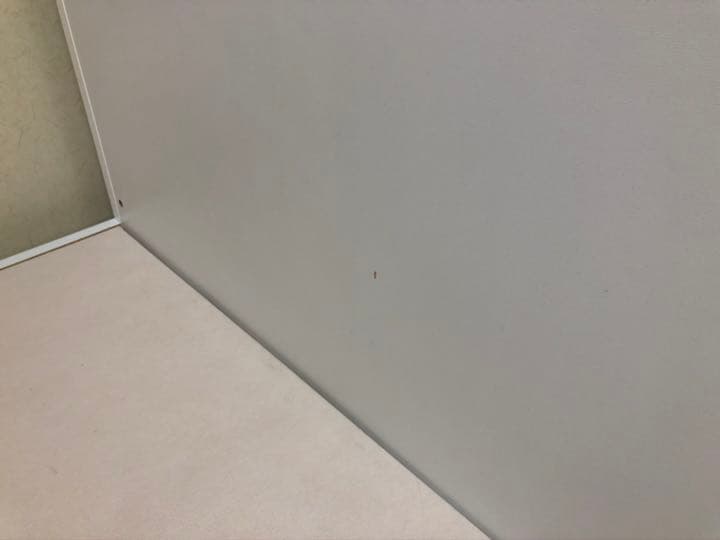 ダブルベット
