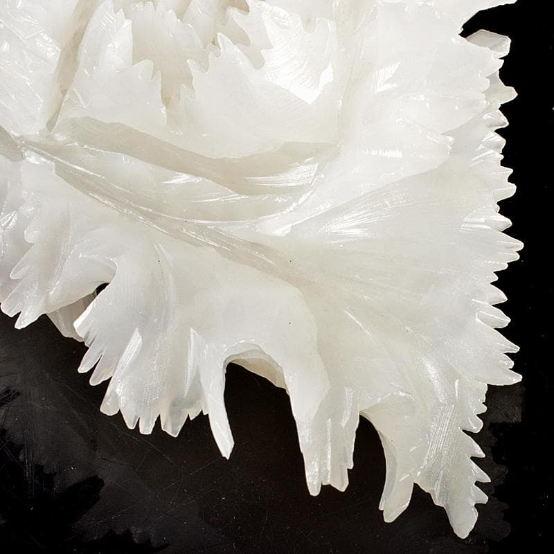 中国　玉石白玉彫刻　白菜　置物　V　R5727