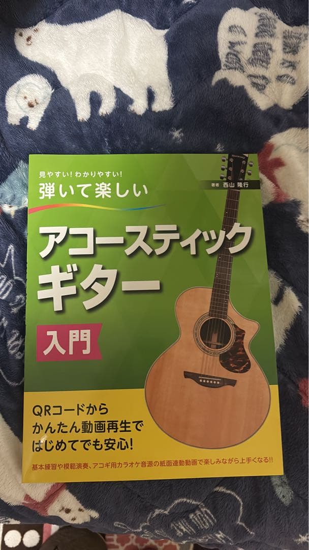 アコースティックギター James J-300A ケース、スタンド、本付き